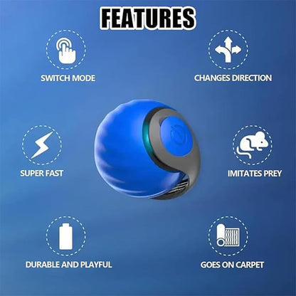 2Packs Speedy 2.0 Tail Cat Toys for Bored Indoor Adult Cats,2025 New Generation Interactive Cat Toys for Indoor Cats,Automatic Moving Ball with Tail,Blue and Orange